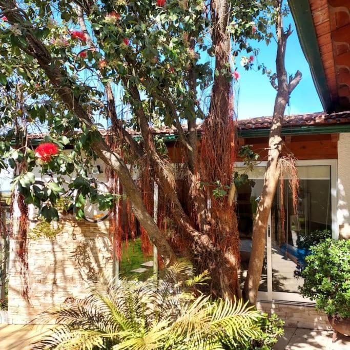 Villa Casat5, Ferias, Piscina Privativa. Agueda, Aveiro Exterior foto
